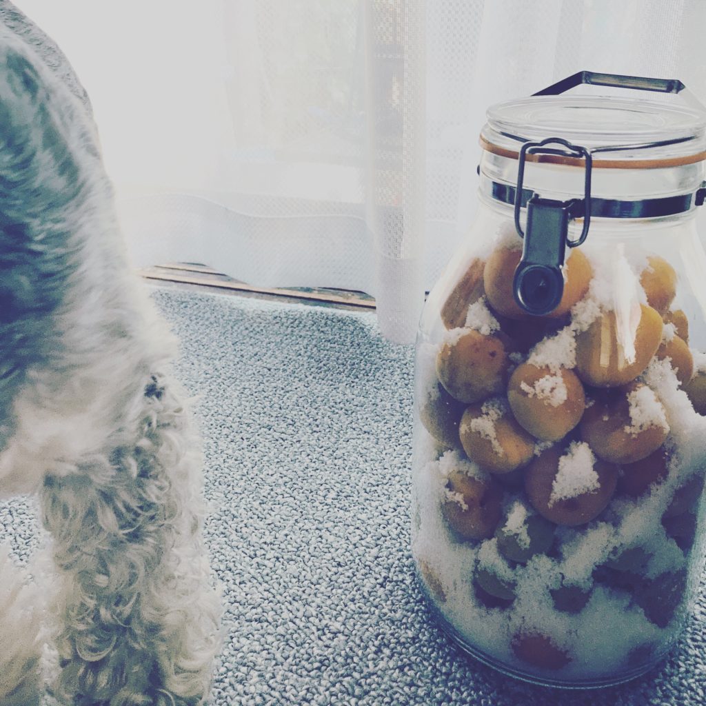 Thumbnail of post image 198